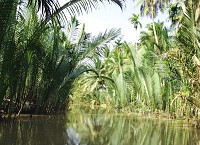 Cu Chi Tunnels – My Tho – Mekong delta tour 