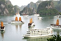 Good Choices of Overnight Cruises in Halong Bay